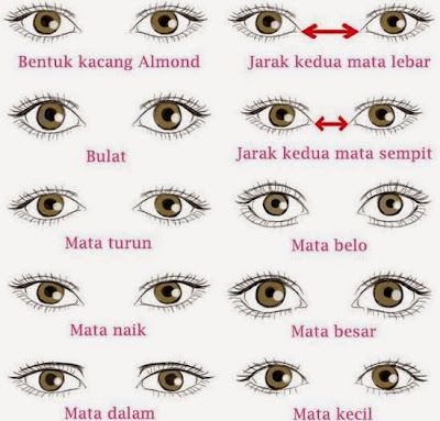 Kurung Lace, Bentuk Mata, Bentuk Alis, Essential Oils For Pregnancy, Lyrics Of English Songs, Thicker Eyelashes, Wedding Makeup Looks, Cute Flower Wallpapers, Perfect Eyebrows