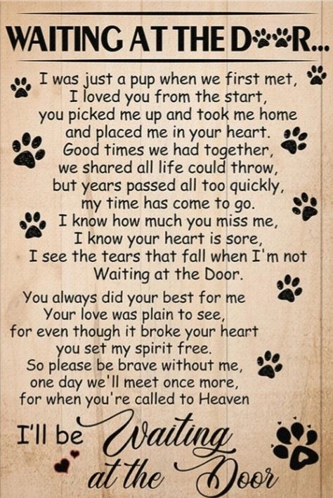 Poems For Dogs, Pet Euthanasia Quotes, Dog Sympathy Quotes, Dog Loss, Losing A Dog Quotes, Dog Heaven Quotes, Pet Poems, Miss My Dog, Dog Poems