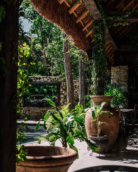 Where to Stay in Tulum: Hotel Bardo Plunge Pools, Tulum Hotels, Tulum Beach, Hotel Staff, Beach Bungalows, Mayan Ruins, Plunge Pool, Quintana Roo, Pack Your Bags