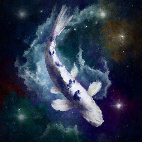 Koi Photography, Cosmic Entity, Space Magic, Koi Carp, Fish Swimming, Graphic Design Photography, Dream Spaces, Drawing Inspo, Koi Fish