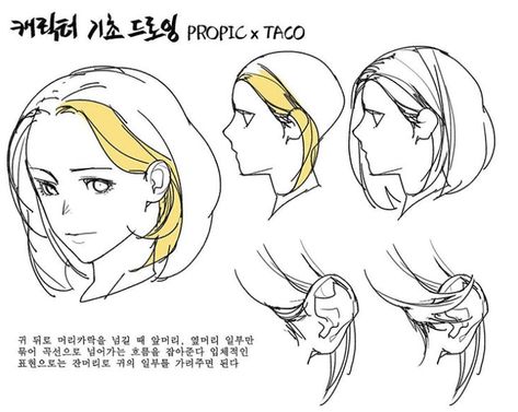 When pulling the hair behind the ear, a part of the side hair and the front hair is drawn with a curve to portray the flow of the hair. To improve the drawing and make it more 3-dimensional, cover the ear partially with some of the baby hairs. Taco Anatomy, How To Draw Ears, Drawing Hair Tutorial, Manga Hair, Hair Sketch, Reference Drawing, Anatomy Sketches, Body Reference Drawing, Anatomy Drawing