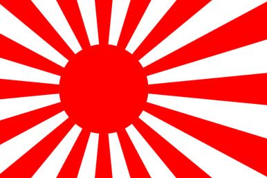 Military Flags, Japanese Flag, Heavy Cruiser, Japan Flag, Imperial Japanese Navy, Military Flag, Imperial Army, Kamikaze, Nose Art