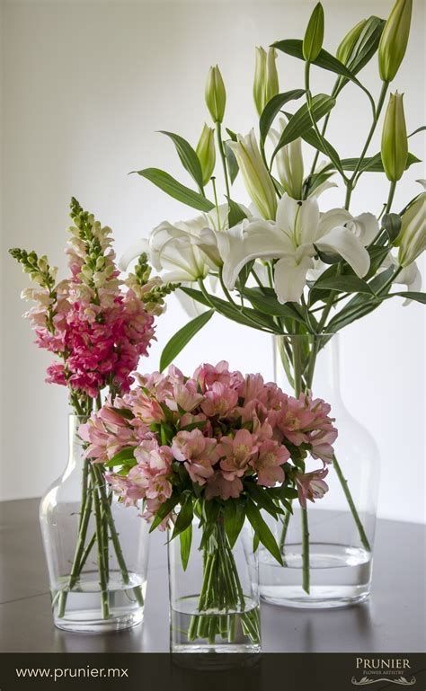 Boquette Flowers, Orchid Arrangements, Flower Vase Arrangements, Flower Arrangements Simple, Modern Flower Arrangements, Flowers Bouquet Gift, The Secret Garden, Fresh Flowers Arrangements, Vase Arrangements