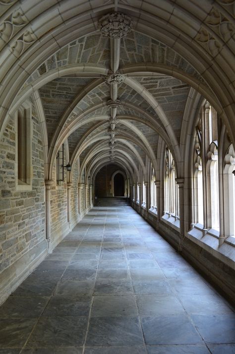 I would walk through here on my way to Rocky and Mathey Dinning Halls. I was so blessed! Grayson Hall, School Hall, Academia Aesthetics, Stone Arch, Dream School, Princeton University, Classic Preppy, Brick Building, Ivy League