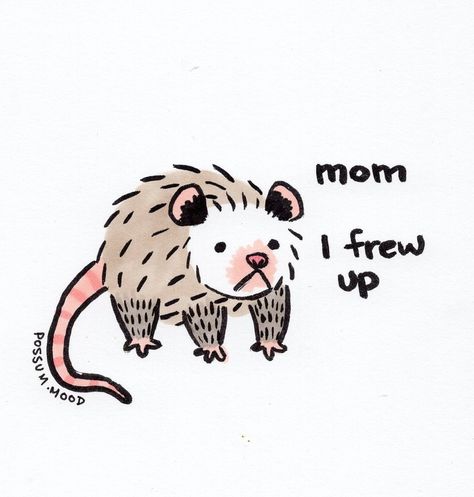 Awesome Possum, Goofy Drawing, A Rat, Cute Doodles Drawings, Funny Animal Jokes, Cute Doodle Art, Silly Animals, Cute Little Drawings, Cute Animal Drawings