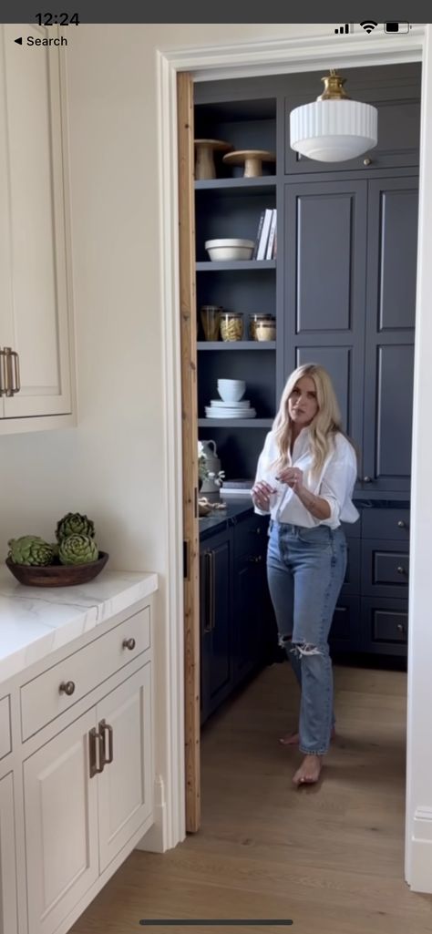 Butlers Pantry Walkin, Painted Butlers Pantry, Fridge In Butlers Pantry, Dark Butlers Pantry Ideas, Taupe Pantry, Kitchen With Open Pantry, Pantry Nook In Kitchen, Unique Butlers Pantry Ideas, Butlers Pantry Butcher Block