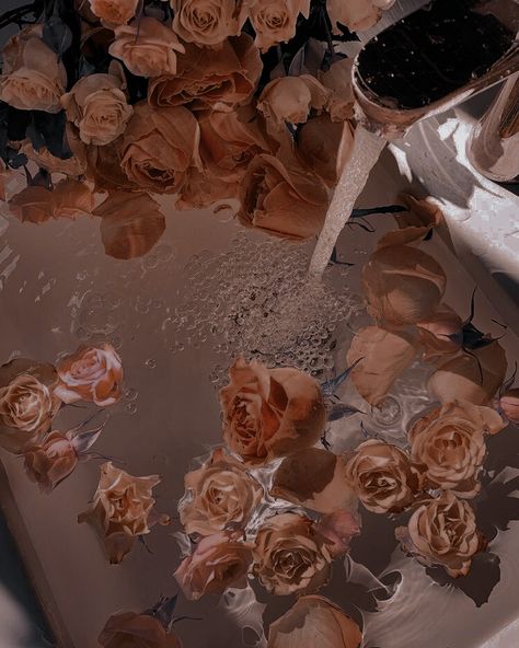 Roses In Water Aesthetic, Aesthetic Wallpaper Roses, Flowers In Sink, Flowers In Kitchen, Sink Photography, Water Aesthetic Wallpaper, Roses In Water, Windows Flowers, Watermelon Pink Color