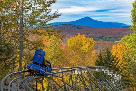 Lake Placid Olympics, Mountain Coaster, Alpine Slide, Lake Placid New York, New York Vacation, Adirondack Mountains, Mountain Vacations, Sports Complex, Olympic Sports