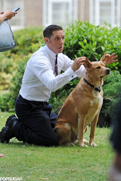 Tom Hardy Playing With a Puppy Is More Adorable Than You Ever Imagined Tom Hardy Dog, Tom Hardy Legend, Tom Hardy Photos, Puppy Dog Pictures, Tom Love, Heartwarming Pictures, Thomas Hardy, Tom Hardy, Mans Best Friend