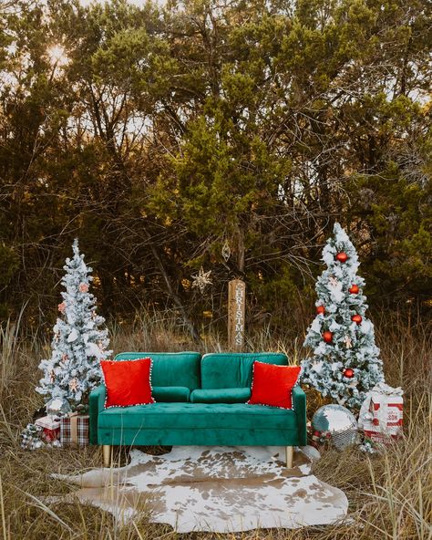 Sneak peek from yesterday’s outdoor Christmas minis! Omg! Love this setup personally! I am doing these again in December. I have that link to sign up for it on my bio! Feel free to reach out :) this is also the same studio setup too! Eek! Christmas Mini Set Up Outdoor, Christmas Mini Session Ideas, Winter Photo, Outdoor Photos, Evergreen Trees, Studio Setup, Christmas Minis, Graduation Pictures, Photo Set