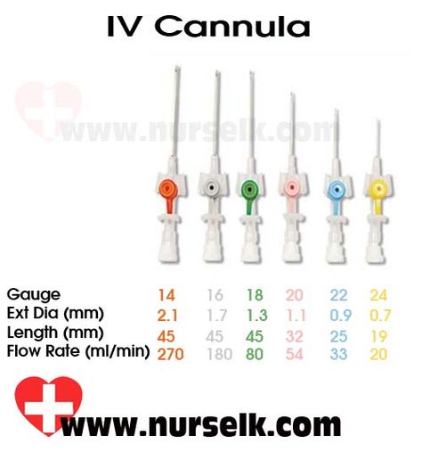 Cannula Gauge Sizes and Color Code | Nurselk.com Iv Cannula, Eye Health Facts, Med School Study, Gauge Sizes, Pediatric Surgery, Medical School Life, Nclex Study, Nurse Study Notes, Medical Student Motivation