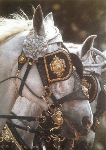 Era Victoria, Royalty Core, Royal Core, Royalty Aesthetic, Fotografi Vintage, Royal Aesthetic, Pretty Princess, Bridles, Clydesdale