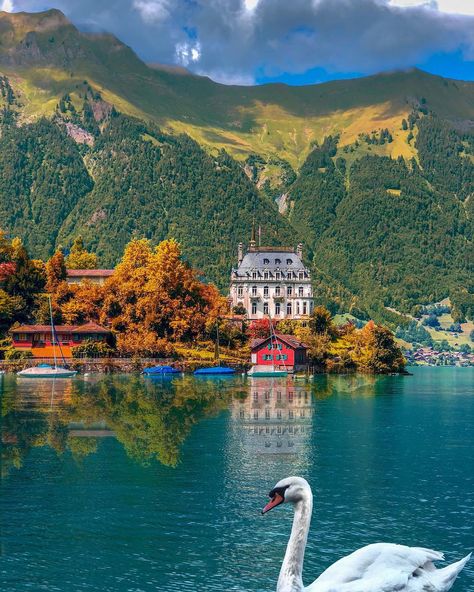 Iseltwald Switzerland, Lake Brienz, Photogram Photography, Travel Film, Nightlife Travel, Iceland Travel, Travel Insurance, Dream Destinations, Vacation Destinations