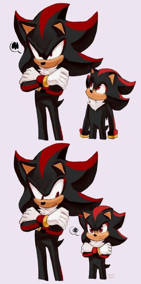 Shadow The Hedgehog Cute, Shadow X Sonic, Shadow And Sonic, Shadow Hedgehog, Sonic X Shadow, Sonic Shadow, Shadow Sonic, Shadow And Amy, Sonic And Amy