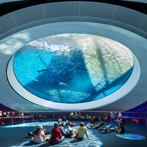 Public Aquarium, Photowall Ideas, World Architecture Festival, Science Park, مركز ثقافي, Museum Of Science, Parc D'attraction, Living Modern, Architectural Photographers