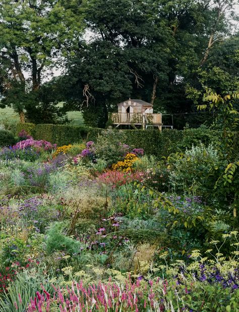 Landscape designer Alasdair Cameron's garden in Devon | House & Garden Devon House, Hornbeam Hedge, Tall Shrubs, Viburnum Opulus, Herbaceous Border, Sunken Garden, Wild Country, Desain Lanskap, Gravel Garden