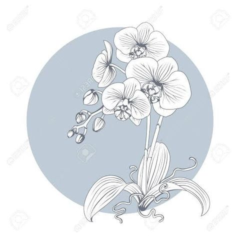 Orchid Illustration, Orchid Drawing, Orchid Tattoo, Flower Wrist Tattoos, Line Art Illustration, Flower Outline, Flower Art Drawing, Hand Drawn Flowers, Orchid Flower