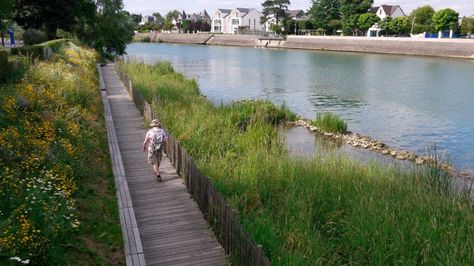 The city of Perreux-sur-Marne has rethought its entire relation to its river, considering it as a major environmental, social, urban and political issue. The project aims at bringing back both the people and other species of plants and animals to the banks of the river Marne, by softening the water and urban edges. Concrete protections are turned into vegetal engeneering, and overflood is accepted, widening the spectrum of environements. Wetland Park, Architecture Icons, Easy Landscaping, River Bank, Landscape Plans, Traditional Landscape, Landscaping Tips, Cool Landscapes, Landscape Projects