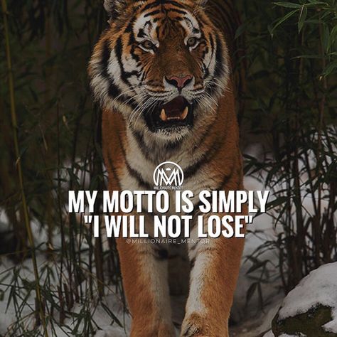 - I WILL NOT!! :@Aj_CEO Team: @tjepan @donotquitkeepgoing Be A FCKING BEAST Your Circle Quotes, Tiger Quotes, Hustle Quotes Motivation, Quotes Mind, Wealth Quotes, Lion Quotes, Leader Quotes, Citation Entrepreneur, Millionaire Mentor