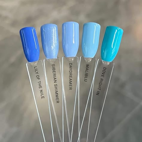 Nail Colors Blue Shades, Bright Neutral Nails, Monochromatic Blue Nails, Blue Nail Shades, Caribbean Blue Nails, Different Shades Of Blue Nails, Blue Nail Colors, Gel Moment, Blue Nail Color