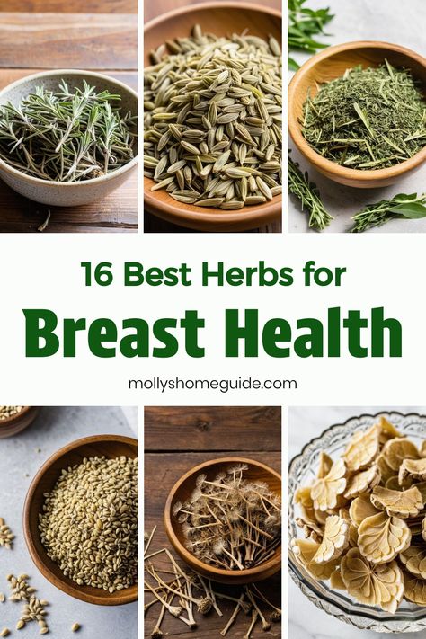 Discover the natural healing power of herbs for breast health. From prevention to support, incorporate Ayurvedic herbs for breast cysts and herbal remedies for estrogen dominance into your routine. Nourish your body with superfoods and foods for breast health to promote overall well-being. Explore the benefits of herbs like red clover, flaxseed, and turmeric in maintaining breast health and wellness. Holistic Medicine Recipes, Healing Herbs Medicine, Natural Medicine Recipes, Heal Thyself, Red Clover, Estrogen Dominance, Herbal Recipes, Natural Healing Remedies, Healing Plants