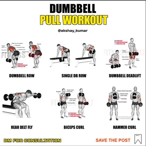 Pull Day Exercises At Home, Dumbbell And Barbell Workout Plan, Dumbbell Only Pull Day, Push Pull Dumbbell Workout, Push Pull Legs Dumbbell Workout, Pull Day Workout Db, Dumbell Pull Day Workout, Pull Workout Exercises Dumbells, Push Dumbell Workout