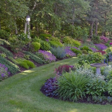 Garden Design For Sloping Gardens, Best Plants For Hillside, Backyard Landscaping With Sloped Yard, Gardening On A Hill Sloped Yard, Landscaping A Sloped Front Yard, Backyard Landscaping Hill, Slope Garden Design, Ditch Landscaping Roadside, Sloped Landscape Ideas