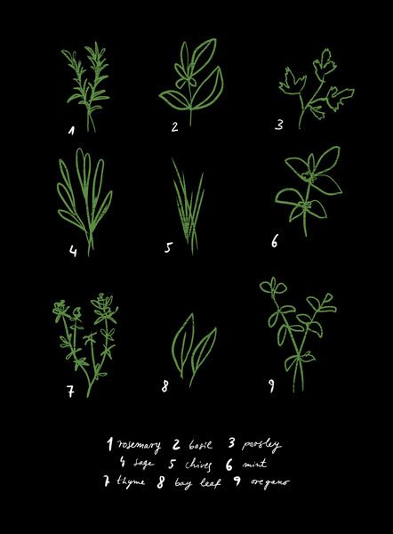 Herbs Kitchen Art Prints, Black Garden, Plant Drawing, Chalkboard Art, Chalk Art, Giclée Print, Food Illustrations, Kitchen Art, 로고 디자인