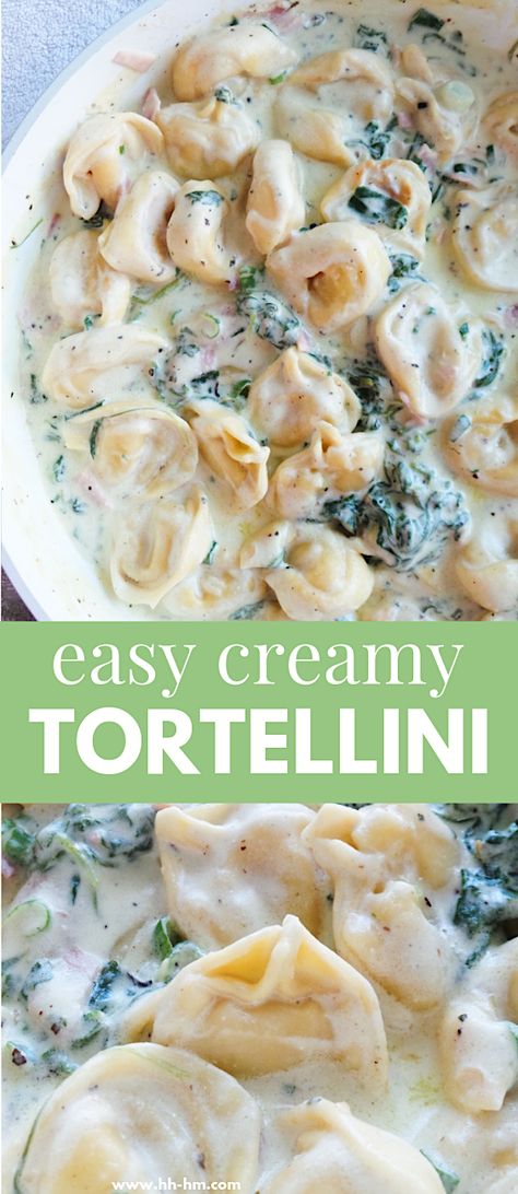 Creamy Tortellini Recipe - Her Highness, Hungry Me Creamy Tortellini With Spinach, Tortellini With Spinach, Cheese Tortellini Recipes, Tortellini Recipe, Creamy Tortellini, Spinach Tortellini, Creamy Pasta Recipes, Tortellini Recipes, Fast Dinner Recipes