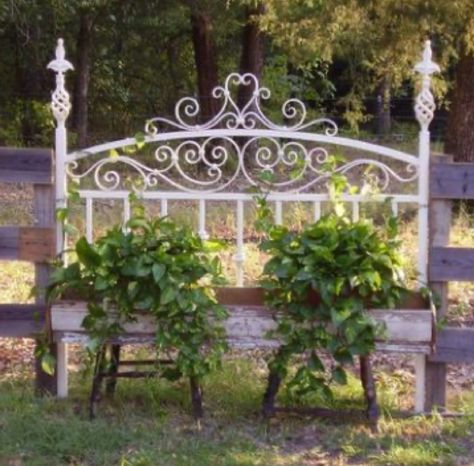 Headboard Yard Art, Using Headboards In The Garden, Metal Headboard Garden Ideas, Iron Headboard Garden Ideas, Old Metal Bed Frame Ideas Garden, Upcycled Headboard, Metal Bed Frame Garden Trellis, Iron Headboard, Recycled Garden Art