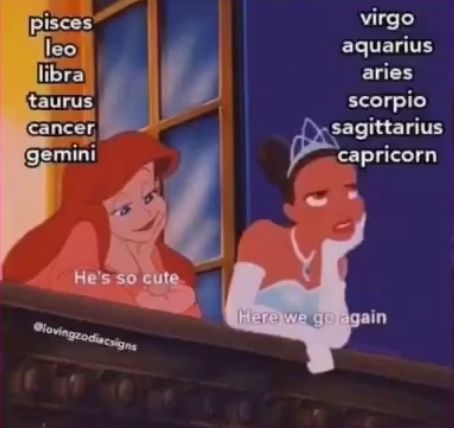 Zodiac Signs As Trios, Zodiac Signs Aesthetic, Funny Zodiac Signs, Zodiac Signs Animals, Pisces And Leo, Zodiac Signs Pictures, Funny Zodiac, Leo And Aquarius, Signs Horoscope