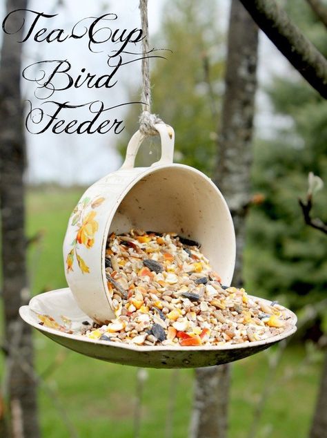 The Friday Find: Creative #DIY Tea Cup Bird Feeders - Lydi Out Loud #ForTheTeaLover Tea Cup Bird Feeder, Cute Diy Projects, Diy Bird Feeder, Diy Birds, Bird Feeder, Garden Crafts, Art Crafts, Diy Garden Decor, Outdoor Projects