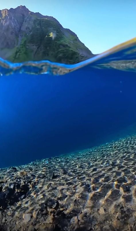 Most satisfying video I’ve ever seen before and under watergiving the sense of relaxationThis underwater video is captured perfectly the details and the sound are literally made for each otherunderwaterworld water blue relaxing peaceful perfect relaxation meditationmusic clear clearwater nature naturelovers Under Water Photography, Water Video, Road Trip Photography, Underwater Video, Trip Photography, Motion Wallpapers, Ancient History Facts, Nature Videos, Made For Each Other