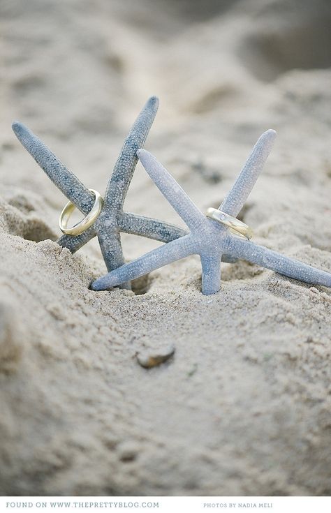 Beachy Wedding Rings, Beach Wedding Photos Family, Beach Vow Renewal, Photograph Idea, Beach Wedding Pics, Beach Anniversary, Renewing Vows, Fiji Wedding, Wedding Renewal