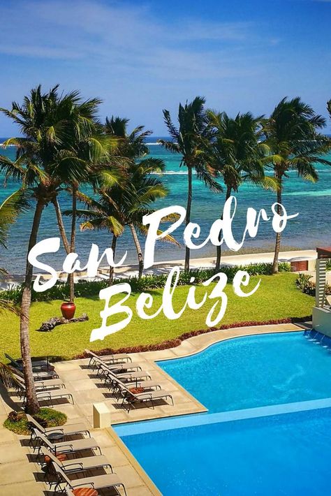 Looking for the perfect Ambergris Caye excursions during your stay in San Pedro Belize. Find out where to stay & what to do including Blue Hole Belize Tours. Blue Hole Belize, Belize Honeymoon, Travel Belize, Placencia Belize, San Pedro Belize, Belize Beach, Belize Vacations, Ambergris Caye, Blue Hole