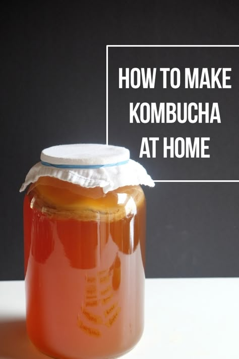 How to Make Kombucha At Home - Shutterbean Kombucha Health Benefits, Fermenting Foods, Making Kombucha, Best Kombucha, Kombucha Recipes, Tea Homemade, Kombucha Benefits, How To Brew Kombucha, Homemade Kombucha