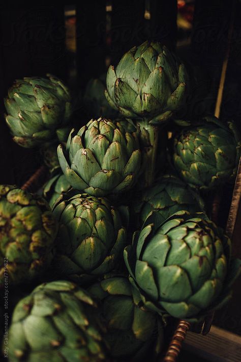 Artichokes Aesthetic, Artichoke Aesthetic, Journal 2025, Women Event, Photo School, Beautiful Fruits, Green Cards, Herb Seeds, Village Life