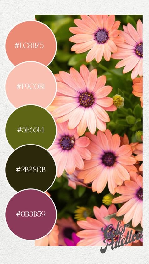 Spring Color Pallete 2023, Color Pallete Spring Summer 2023, Spring Summer Color Palette 2023, Colors Of Spring 2023, Pantone Color Combinations 2023, April Colors Palette, 2023 Colour Palette Trends, Colours 2023 Color Trends, Pantone Spring Summer 2023 Color Trends