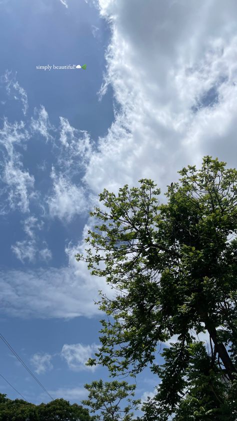 Sky Pic For Instagram Story, Sky Pics For Insta Story, Sky Snap Ideas Streak, Nature Snap Stories, Songs For Sky Pics Instagram Story, Mrng Snaps, Nature Snapchat Stories, Sky And Trees Aesthetic, Nature Story Instagram Ideas