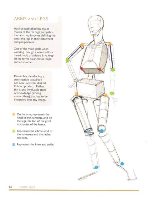 Michael hampton  figure drawing - design and invention Michael Hampton, Figure Drawing Tutorial, Human Body Drawing, Human Body Art, Anatomy Tutorial, Human Anatomy Drawing, Human Figure Drawing, Anatomy Sketches, Human Drawing