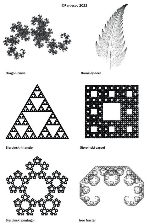 fractal geometry Symmetry In Nature, Mathematical Shapes, Fractals In Nature, Geometry In Nature, Sacred Geometry Patterns, Fractal Geometry, Math Patterns, Fractal Images, Fibonacci Spiral