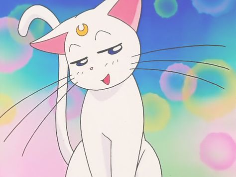 pinterest: @emmarva ❁ Artemis Sailor Moon Icon, Sailor Moon Artemis, Sailor Luna, Sailor Moon Funny, Anime Vibe, Sailor Moon Cat, Sailor Moon Screencaps, Luna And Artemis, Moon Photo