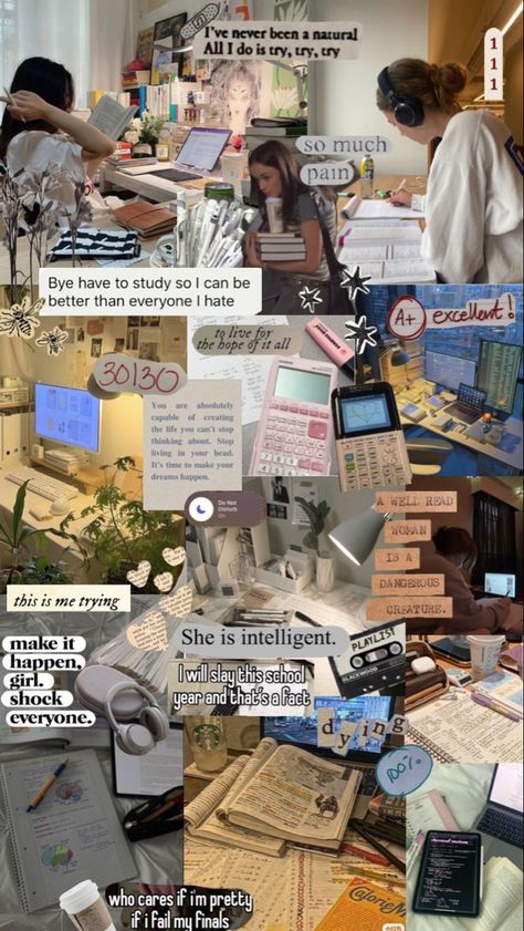 Mood Boards Study, Academic Validation Moodboard, Academic Motivation Collage, Study Motivation Academic Validation, Grad School Mood Board, Academic Comeback Wallpaper, Girly Study Motivation, Study Aesthetic Moodboard, 2024 Study Motivation