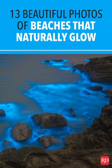 If you need a reminder that nature is awesome, here are beautiful beaches around the world that naturally glow. Time to add these to your future travel bucket list! Glowing Beach, Glowing Water, Smelling Good, Future Travel, Travel Bucket List, Travel Bucket, Smell Good, Beautiful Beaches, Beautiful Photo