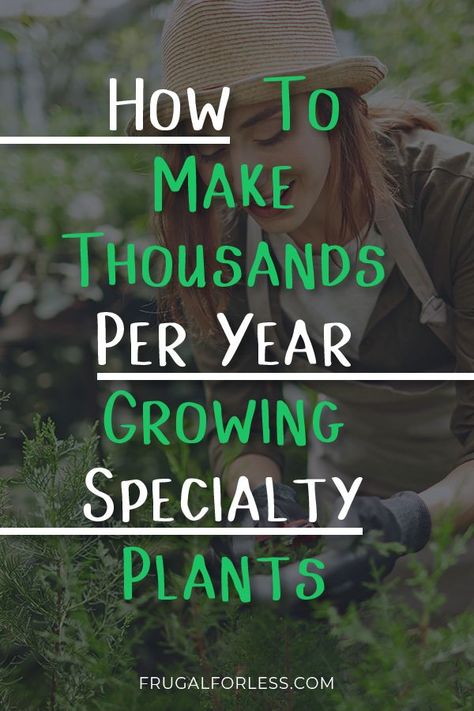 How Much Food To Grow Per Person, Jobs With Plants, Growing And Selling Plants, Make Money Selling Plants, Plant Selling Business, Profitable Farming Ideas, Selling Herbs For Profit, Free Plants How To Get, Best Plants To Grow And Sell