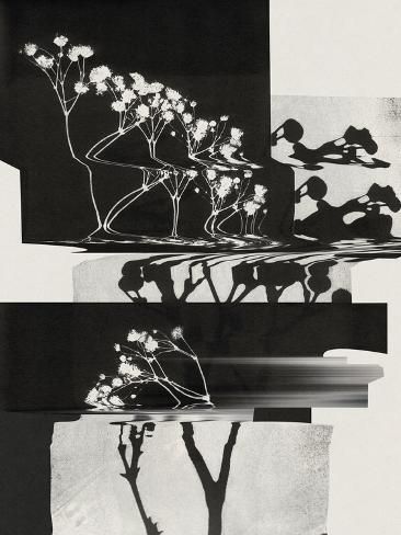 size: 12x9in Photographic Print: Nature Morte #1 by Alisa Galitsyna : Vintage Botanical Prints Black And White, Ink Japanese Art, Ambiguity Art, Graphic Timeline, Life Black And White, Black Prints, Dead Tree, Word Poster, Photography Black And White