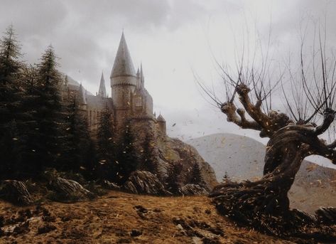 The Whomping Willow, Whomping Willow, Arts Month, Harry Potter Wall, Welcome To Hogwarts, Hogwarts Aesthetic, Slytherin Aesthetic, Prisoner Of Azkaban, Harry Potter Film