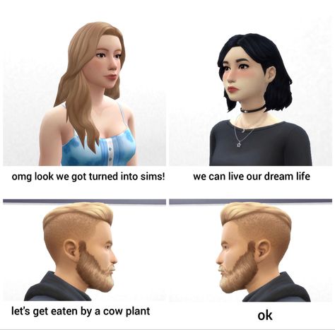 Sims 4 Fanart, Funny Sims, Sims Funny, Sims Memes, Video Game Memes, Wholesome Memes, Gaming Memes, Fb Memes, Super Funny