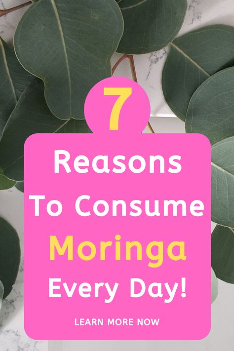 Benefits Of Moringa Leaves, What Is Moringa, Spirulina Benefits, Moringa Recipes, Moringa Capsules, Benefits Of Moringa, Moringa Benefits, Moringa Seeds, Moringa Leaf Powder