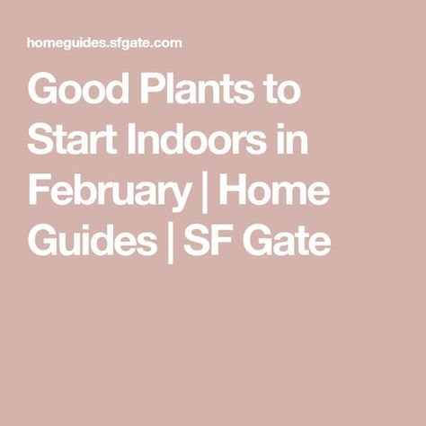 Good Plants to Start Indoors in February | Home Guides | SF Gate Vegetables To Plant, Grommet Panels, Curtains Home, How To Hang, Hanging Curtains, Grommet Curtains, Cool Plants, Curtain Panels, Contemporary Interior